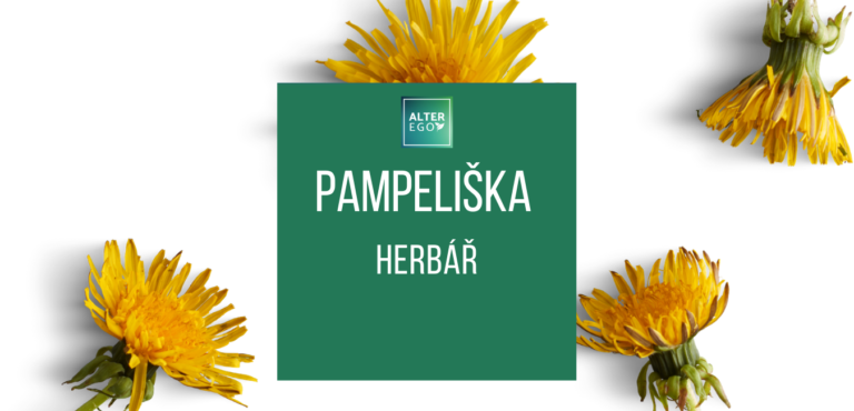Herbář Pampeliška