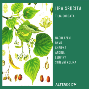 Lípa srdčitá
