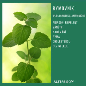 Rýmovník