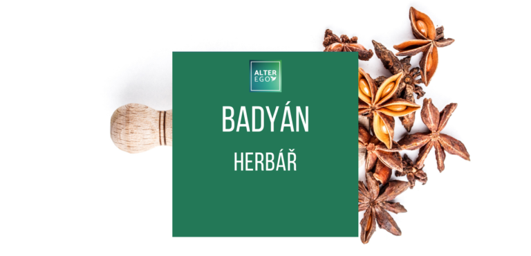 Badyán